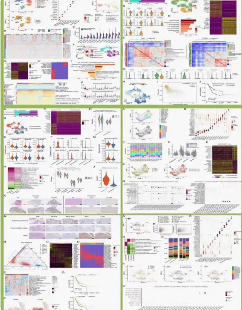 生物信息学研究生出路怎么样-图1