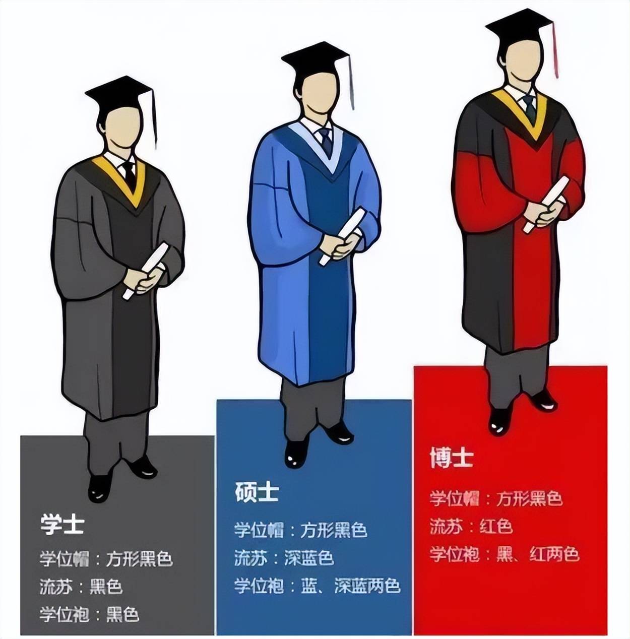 本科硕士博士研究生顺序是怎样-图1