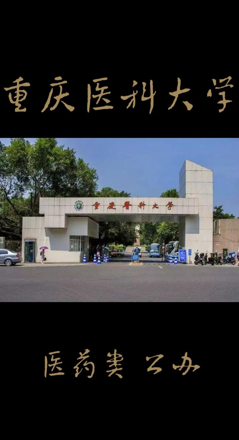 重庆医科大学是一本吗-图1