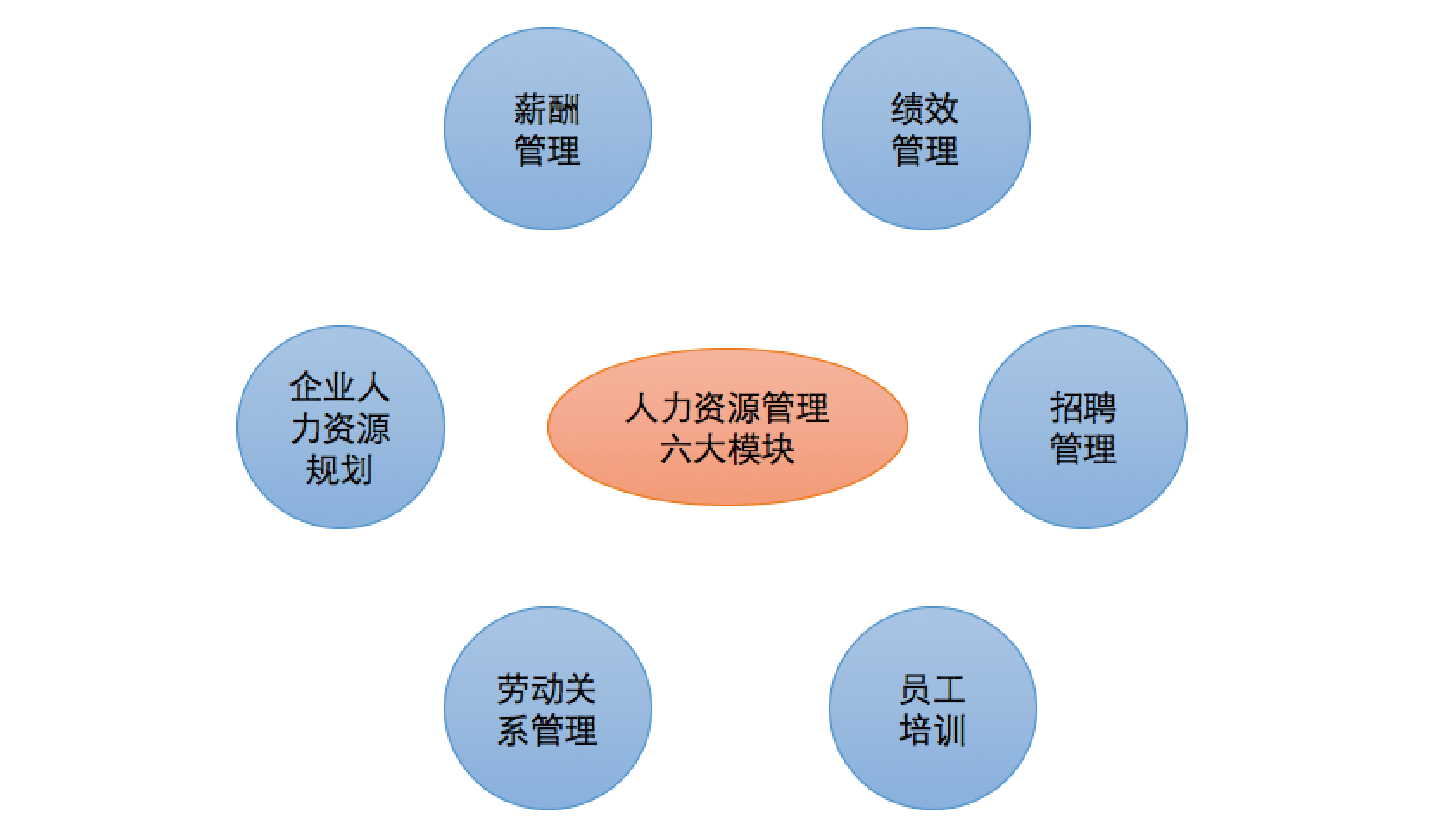 人力资源是什么职业-图1