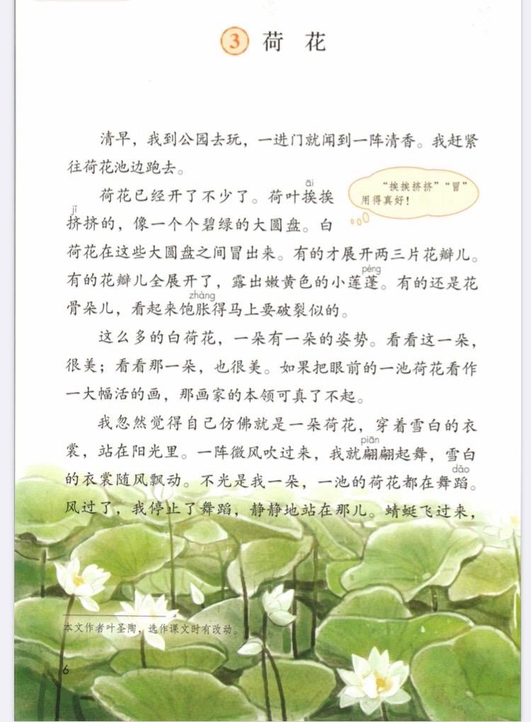 荷花说荷叶是我的什么-图1