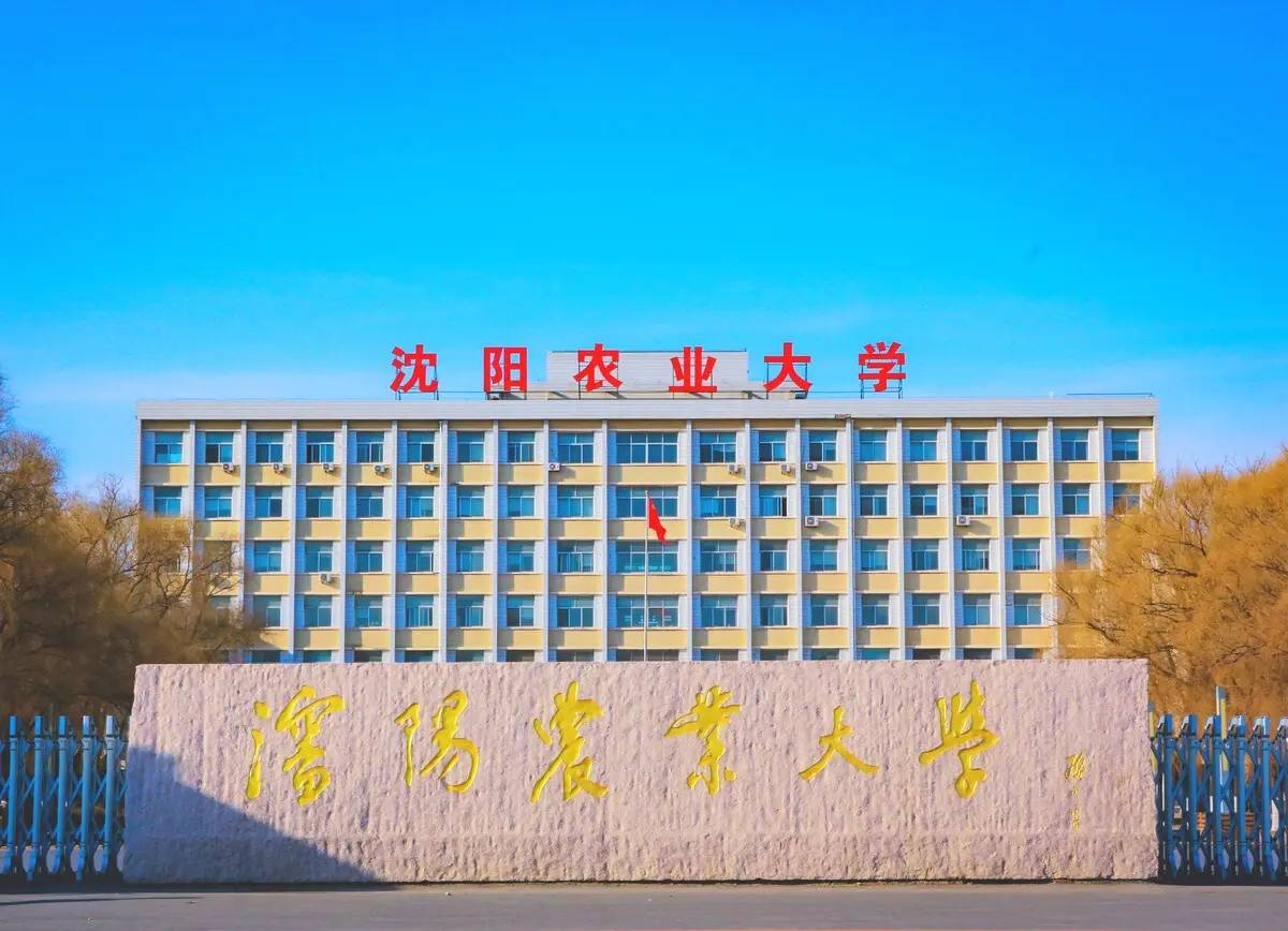 沈阳农业大学好吗-图1