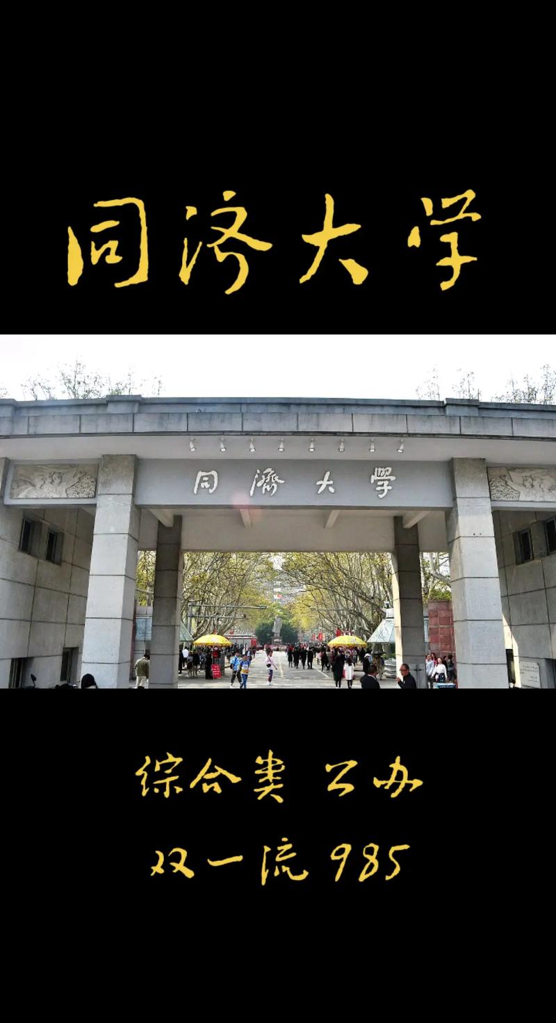 上海同济大学是985还是211-图1