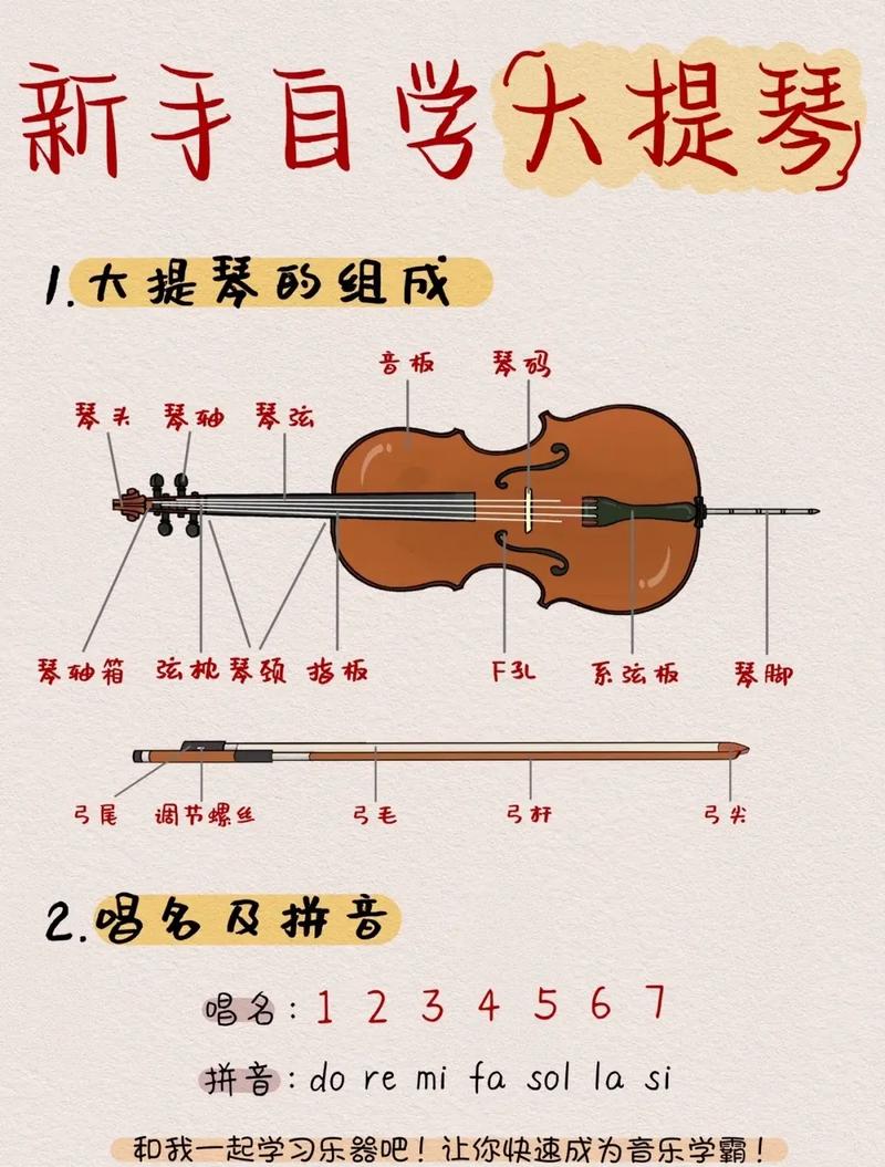 大提琴几岁开始学最好-图1