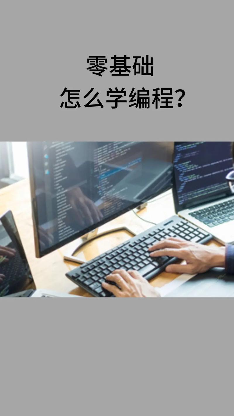 零基础编程先学什么-图1