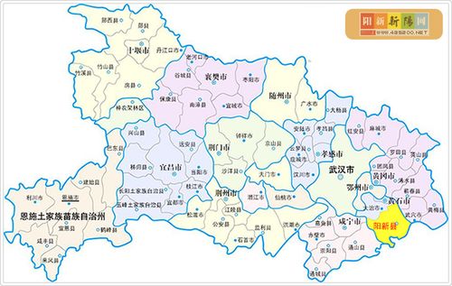 湖北阳新县属于哪个市-图1