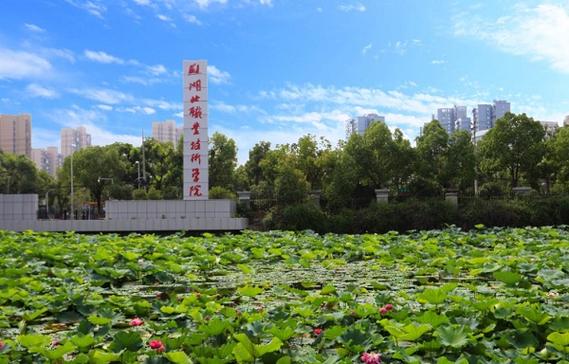 湖北大学职业技术学院-图1