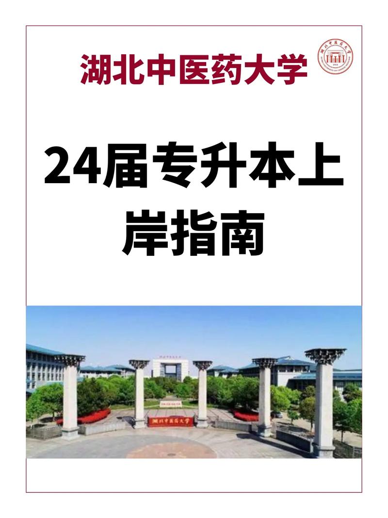 湖北中医药大学专升本-图1