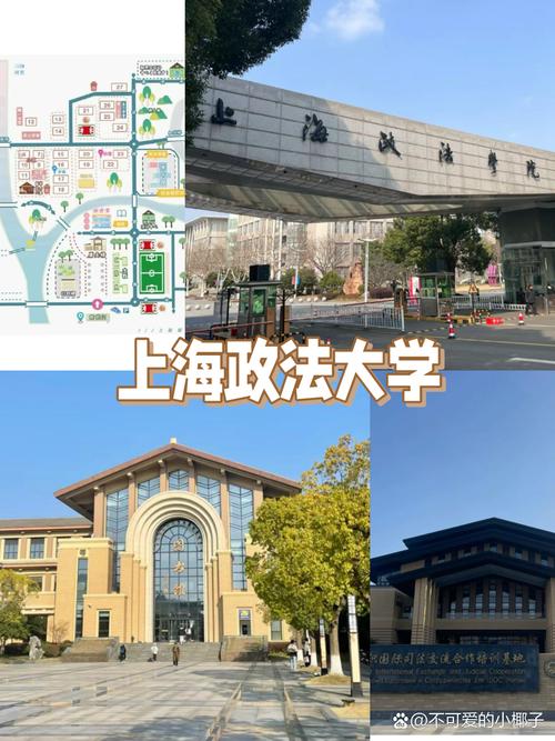 上海政法大学是211还是985学校-图1