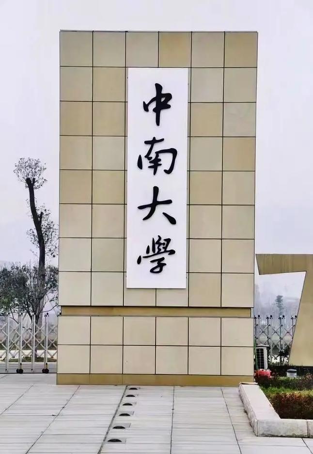 湖南中南大学是985还是211大学-图1