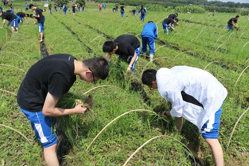 宁都中学的升学率如何？有何特色活动？-图1