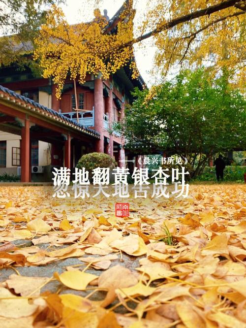 南京师范大学随园校区地址是什么？如何查询？-图1