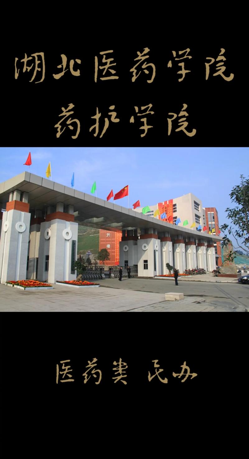 湖北医药学院药护学院怎么样-图1