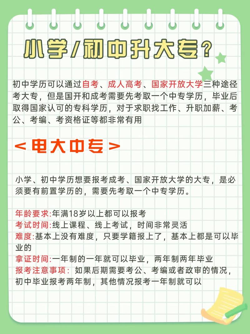 小学毕业可以自考什么学历-图1