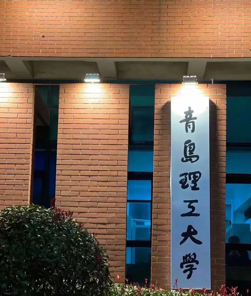 山东专升本最好的大学-图1