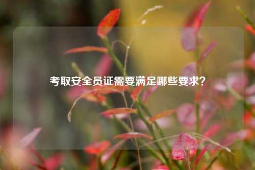 考取安全员证需要满足哪些要求？-图1