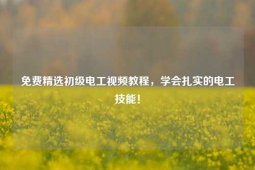 免费精选初级电工视频教程，学会扎实的电工技能！-图1