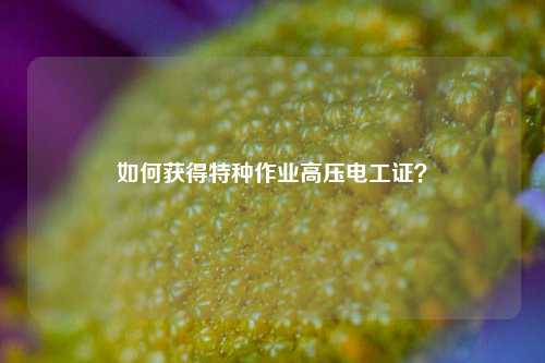 如何获得特种作业高压电工证？-图1