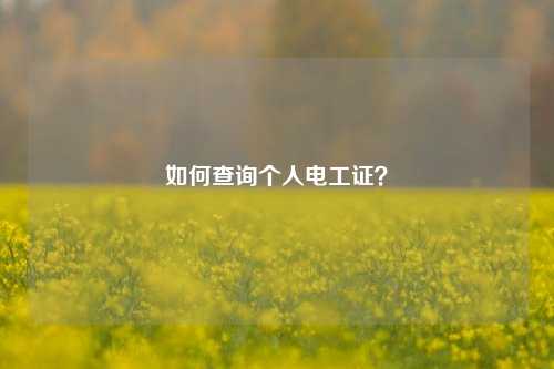 如何查询个人电工证？-图1