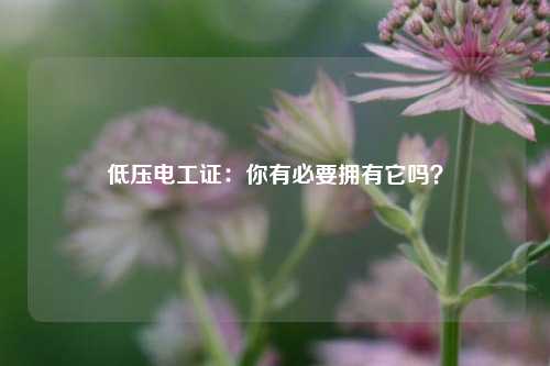 低压电工证：你有必要拥有它吗？-图1