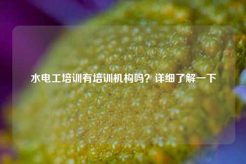 水电工培训有培训机构吗？详细了解一下-图1