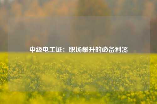 中级电工证：职场攀升的必备利器-图1