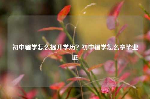 初中辍学怎么提升学历？初中辍学怎么拿毕业证-图1