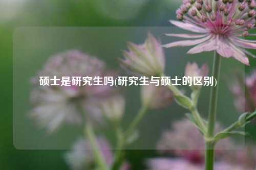 硕士是研究生吗(研究生与硕士的区别)-图1