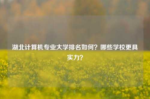 湖北计算机专业大学排名如何？哪些学校更具实力？-图1