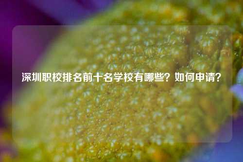 深圳职校排名前十名学校有哪些？如何申请？-图1